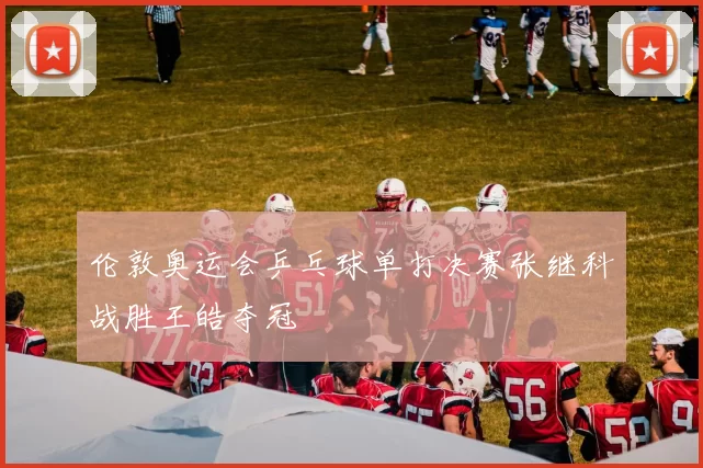 伦敦奥运会乒乓球单打决赛张继科战胜王皓夺冠